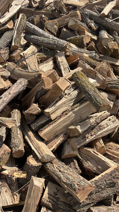 Карагач,тополь дрова