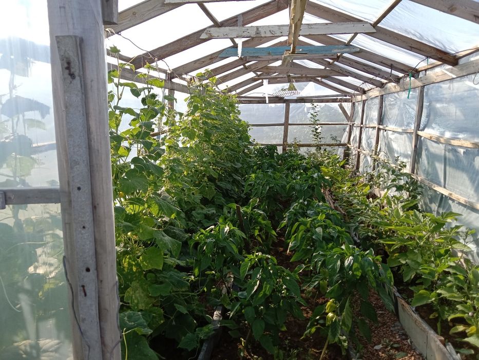 Продам дачу за Коянды