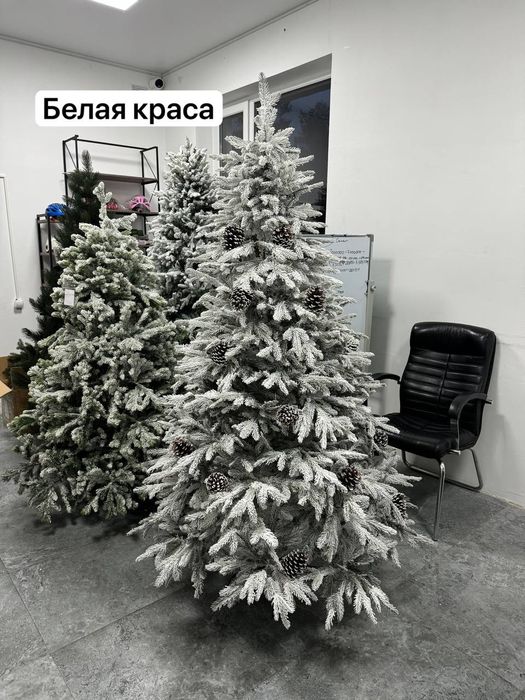 Елки барлық қалаға доставка