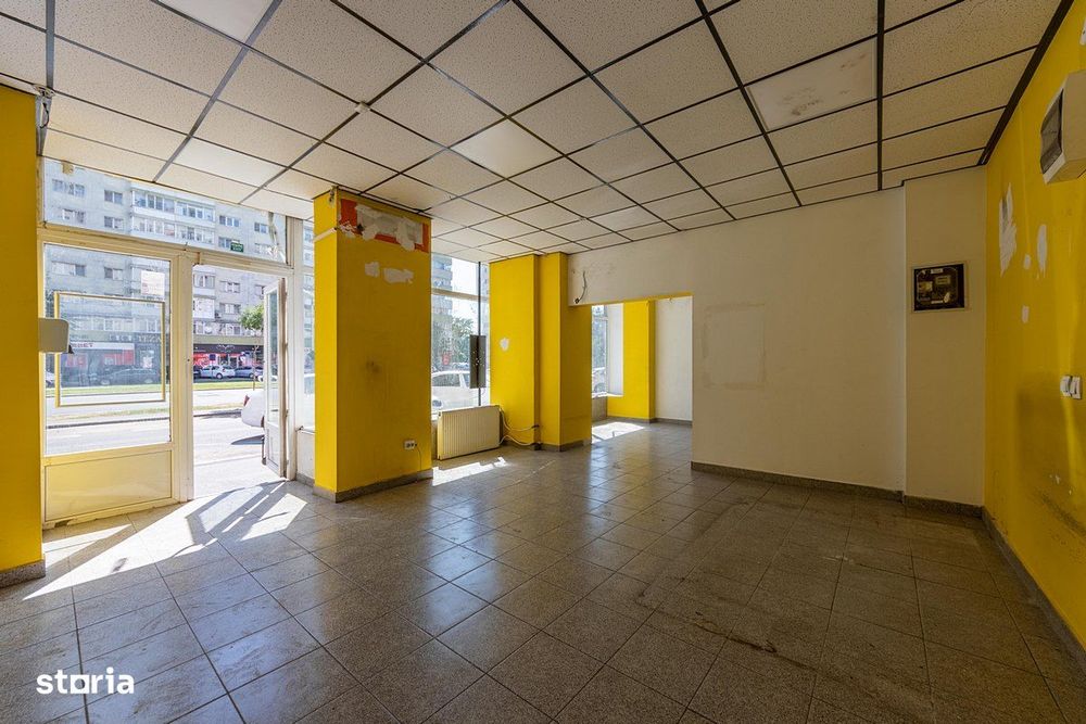 Pantelimon 291, stradal, 50mp