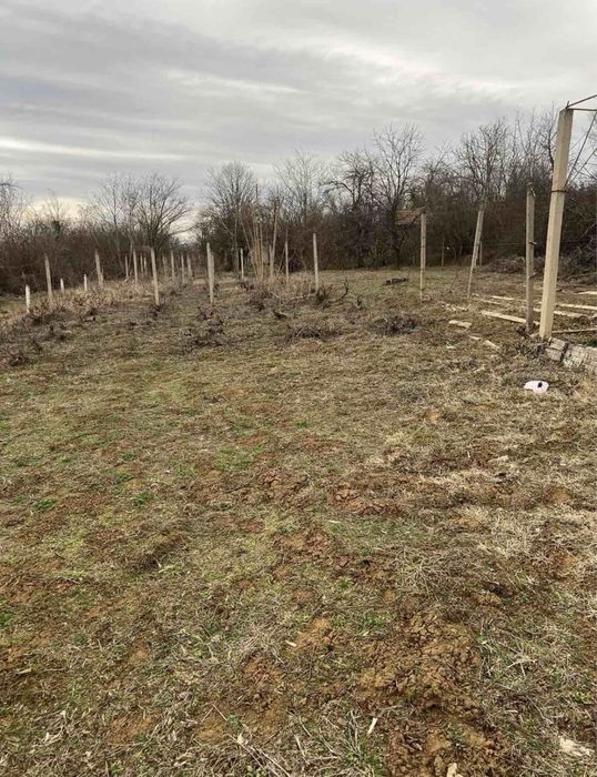 Вила в местност Нежовец Плевен