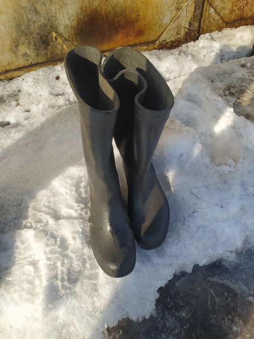 Резиновые сапоги 3 шт.