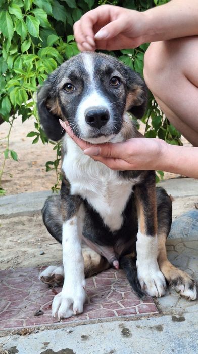 Подарите дом и семью малышу