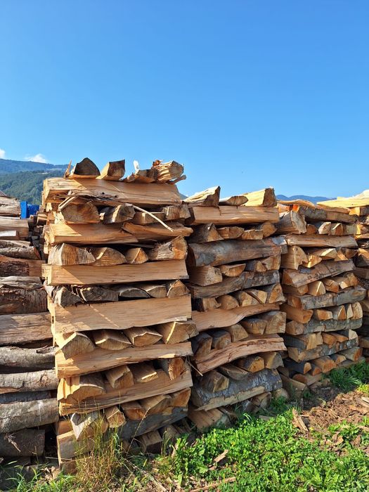 SC PAULA SILVA SRL vinde lemn de foc diverse specii