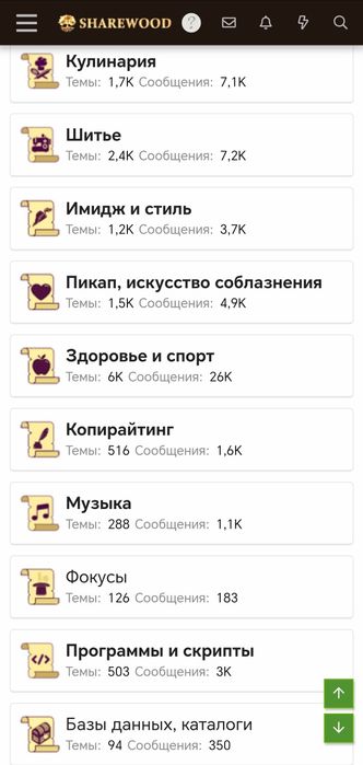 Сливы курсов и обучений