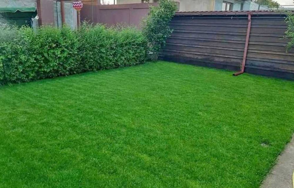 Gazon Rulou sisteme de Irigare