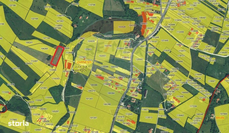 Teren Tohanul Nou 4500mp, in spate Wolf