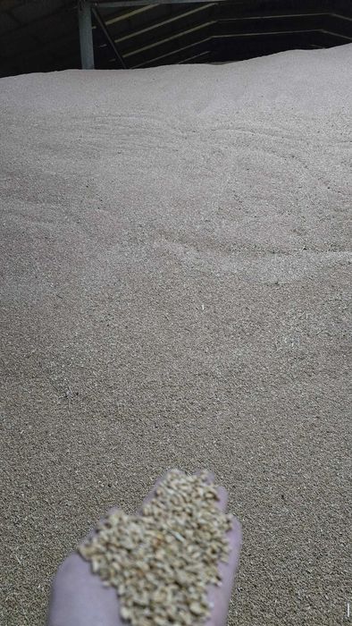 Vand cereale - orz, grau, porumb, malai furajer, tarate