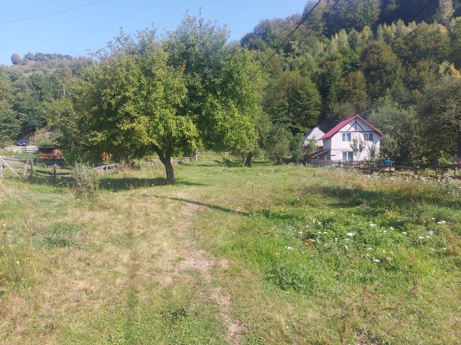 Teren Avram Iancu Jud Alba