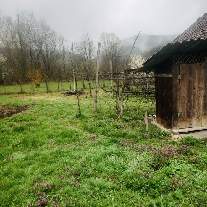 Casă și teren de vânzare