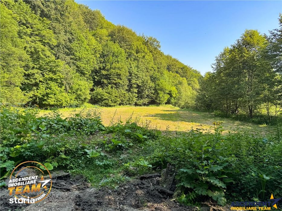 FILM! Teren extravilan pe 2.737mp,zona pretioasa,acces facil,Dobarlau,