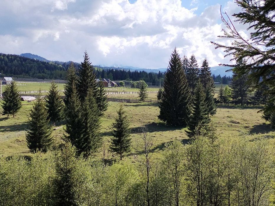 Teren intravilan la munte, plan, zona cu case,  langa Vatra Dornei
