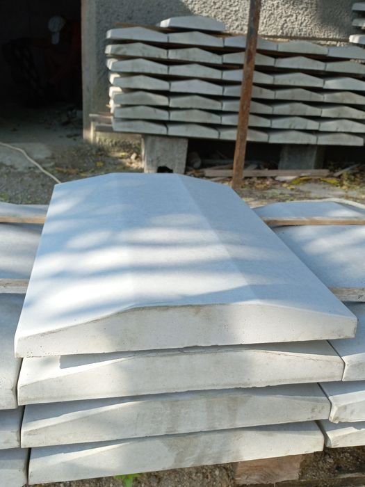 Stalpi de beton,spalieri,zmeura,mure,vie garduri