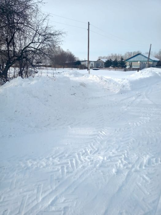 Подам сено в скерде