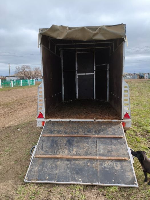 Продам Коневоз 2х местный