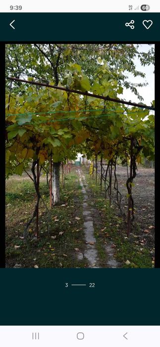 Продава се голяма  Вила