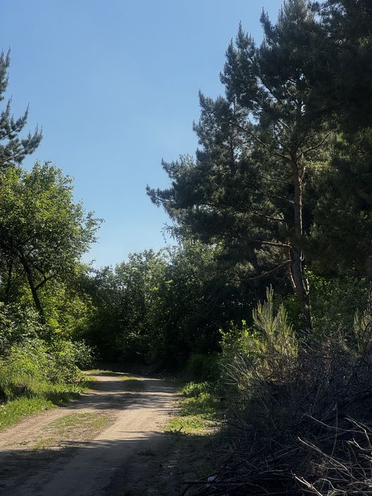 Продам дачу в с/о Куйбышевец