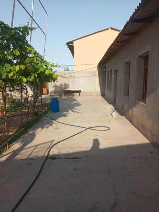 Toshkent viloyati Yangiyo‘l Lenizm mahallasida 8 sotixli yer sotiladi