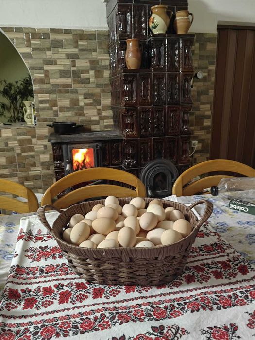 Ouă BIO de casă !!! – Beznea, Bihor
