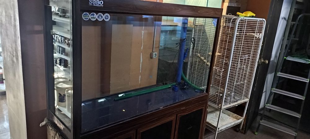 Аквариум для рыб