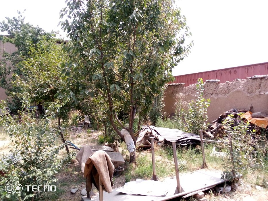 Karobka holatida yer sotiladi Keles Abdurahmonov j.k