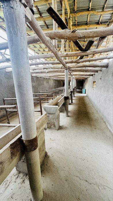 Ferma uchun tayor joy