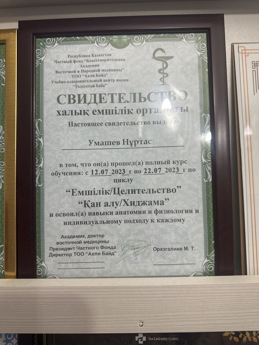 Хилжама шертпе мануалный терапия