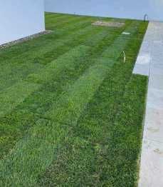 Gazon Rulou, Sisteme de irigare Plante Ornamentale