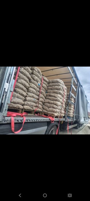 De vânzare cartofi de sămânță!