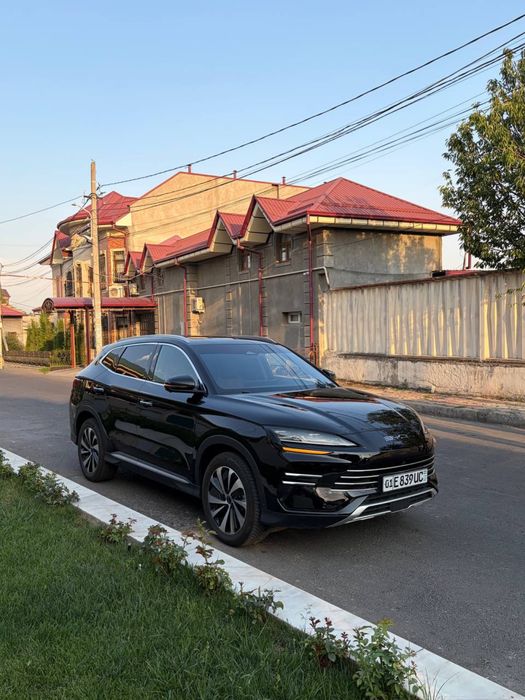 Byd champion 150 km 2024