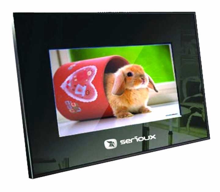 Ramă foto digitală  .