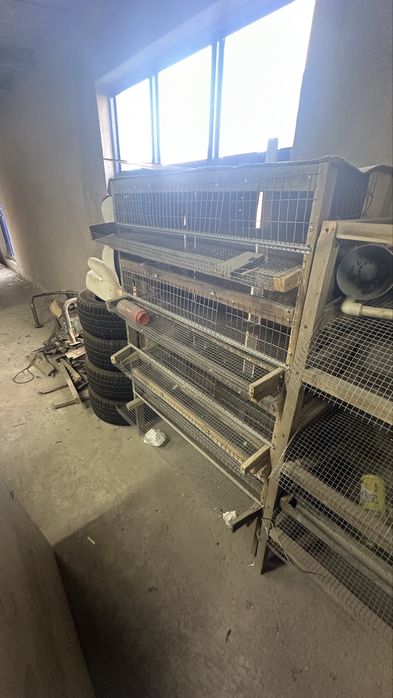 Клетка для перепел