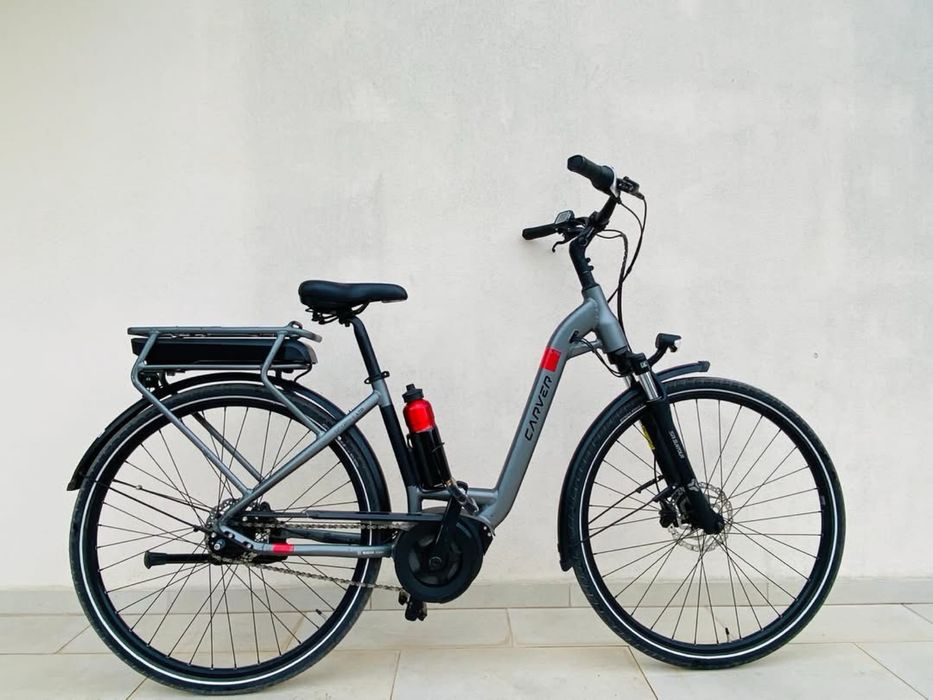 Carver E-Cityzen LTD