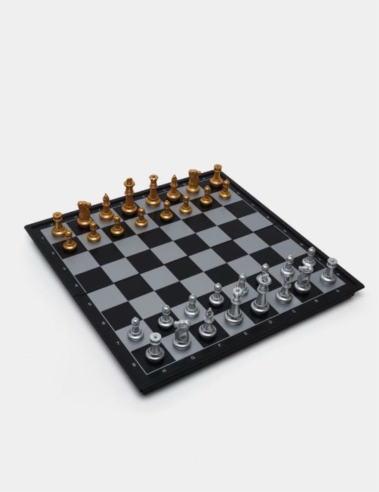 Шахматы магнитные