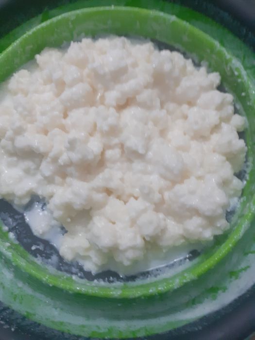 Ciuperca Kefir  Pitești