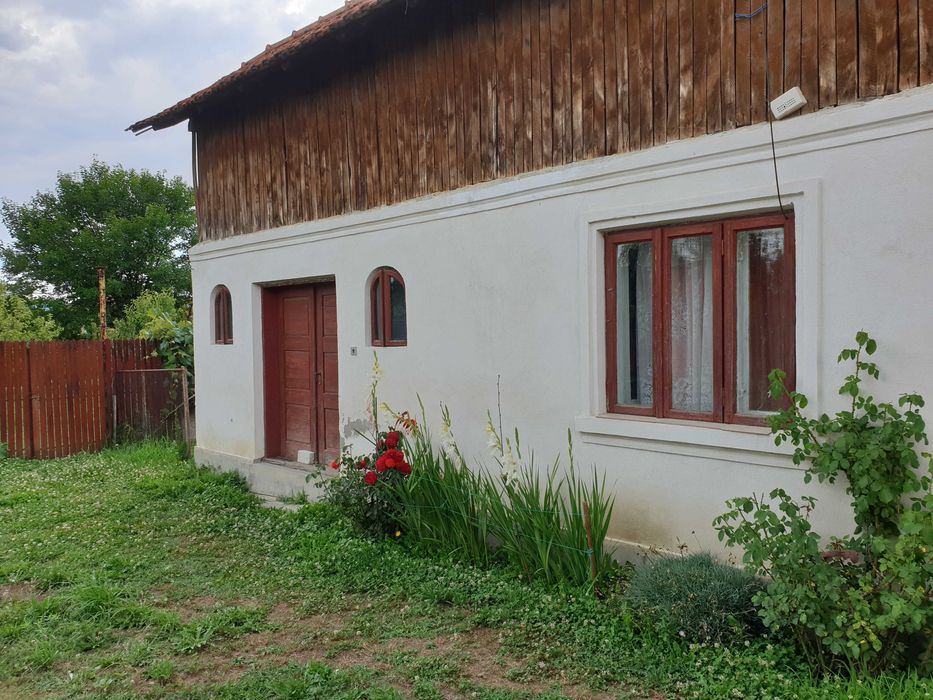 Vand doua case Stalpeni, Arges + teren arabil, 400mp + 4375mp, livada