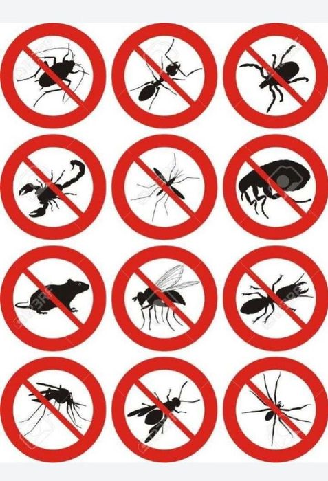 Дезинфекция киламиз