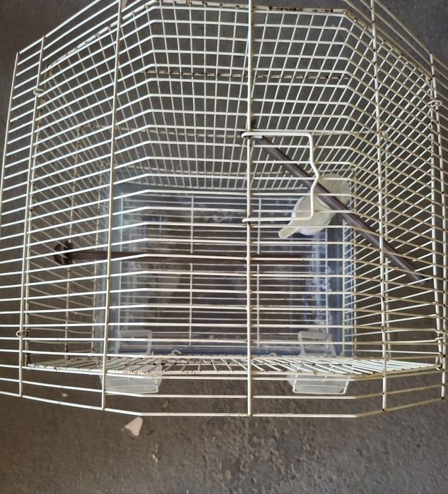Продам клетку для птиц