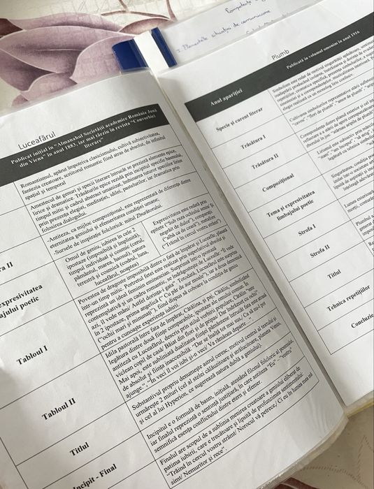 Portofoliu materie pentru Bacalaureat limba română