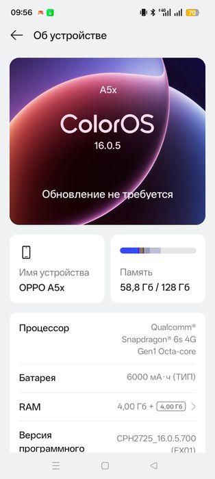 Карапка дакйминти