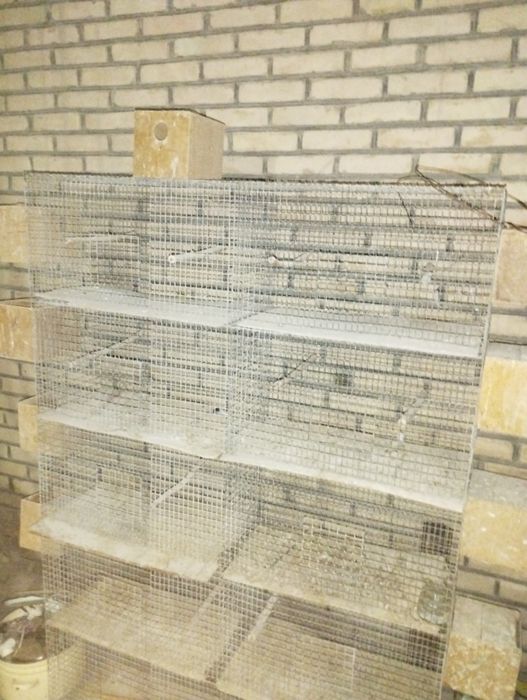 Клетка 5 етажли  сотилади 10 та кодок