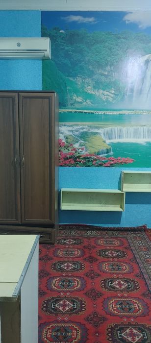 Сдается дом метро Пушкина.