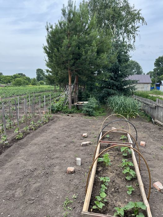 Продам дом в Бобровке