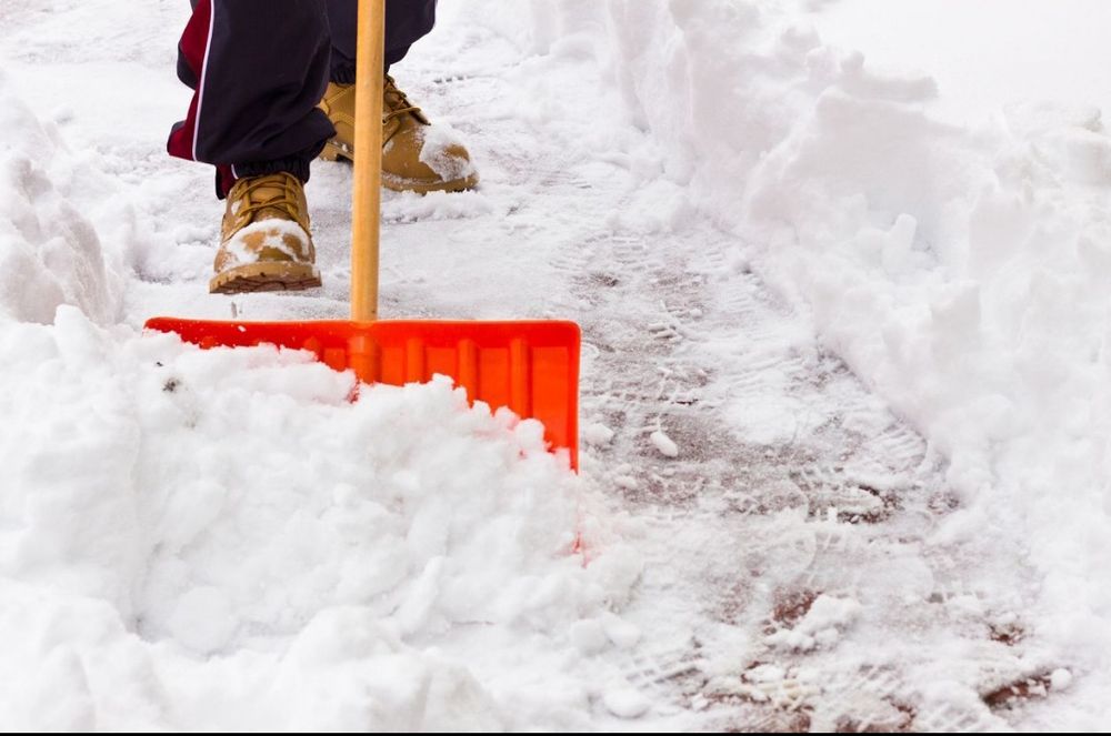 Поддръжка на зелени площи | Почистване на листа | Почистване на сняг