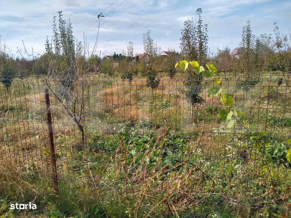 Teren intravilan de vanzare, 1400 mp, zona Bercu Rosu