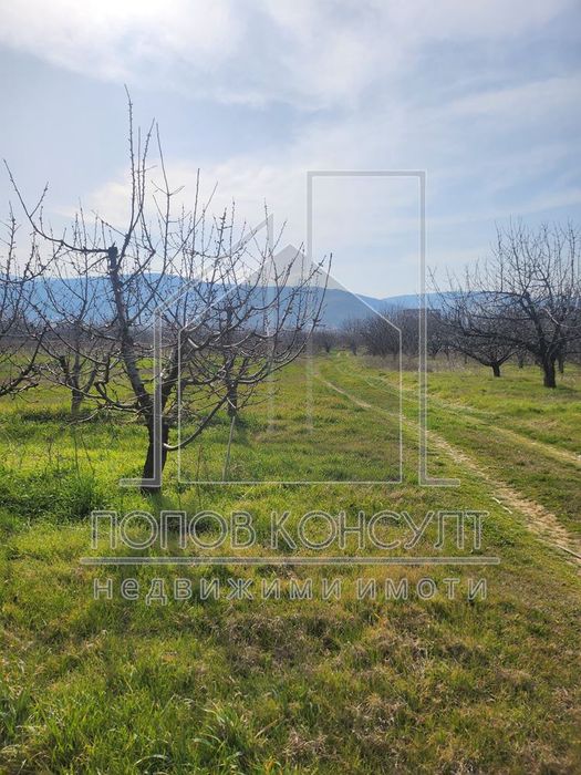 Продава се Парцел в с. Брестник, Област Пловдив - 6300 кв.м за 16 €/кв.м - Снимка #1