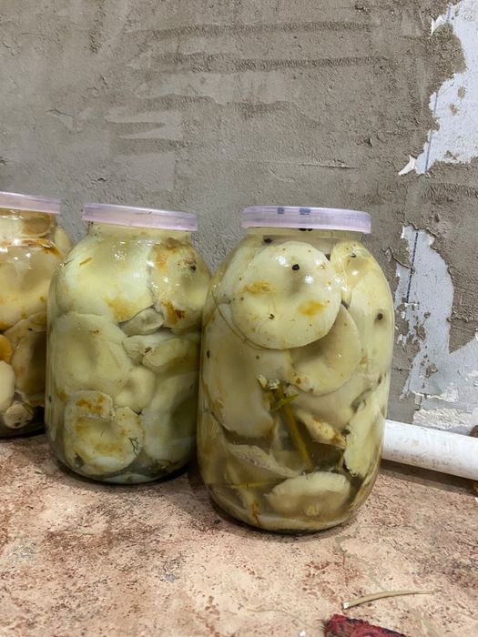 На продажу грибы