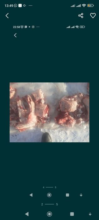 Продам говядину телочки жирные