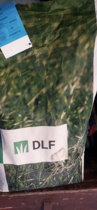 Декоротывный газон клевер(беда)