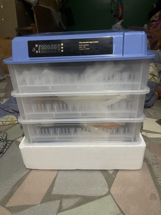 Инкубатор для яиц, на 256 яиц